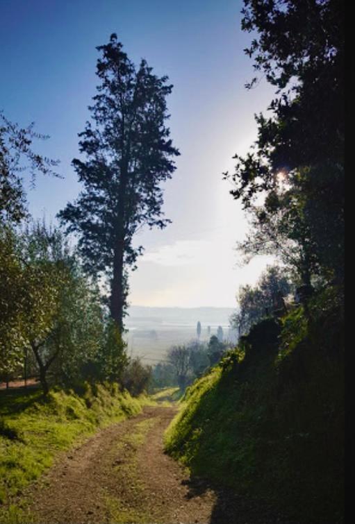 Agriturismo La Pineta Fucecchio Bagian luar foto