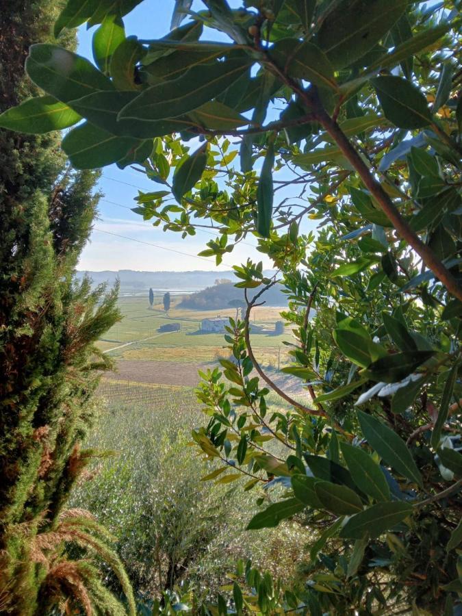 Agriturismo La Pineta Fucecchio Bagian luar foto