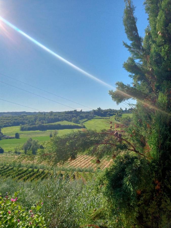 Agriturismo La Pineta Fucecchio Bagian luar foto